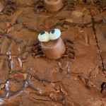 Brownies & Tray Bakes from Double Vision Mobile Bars